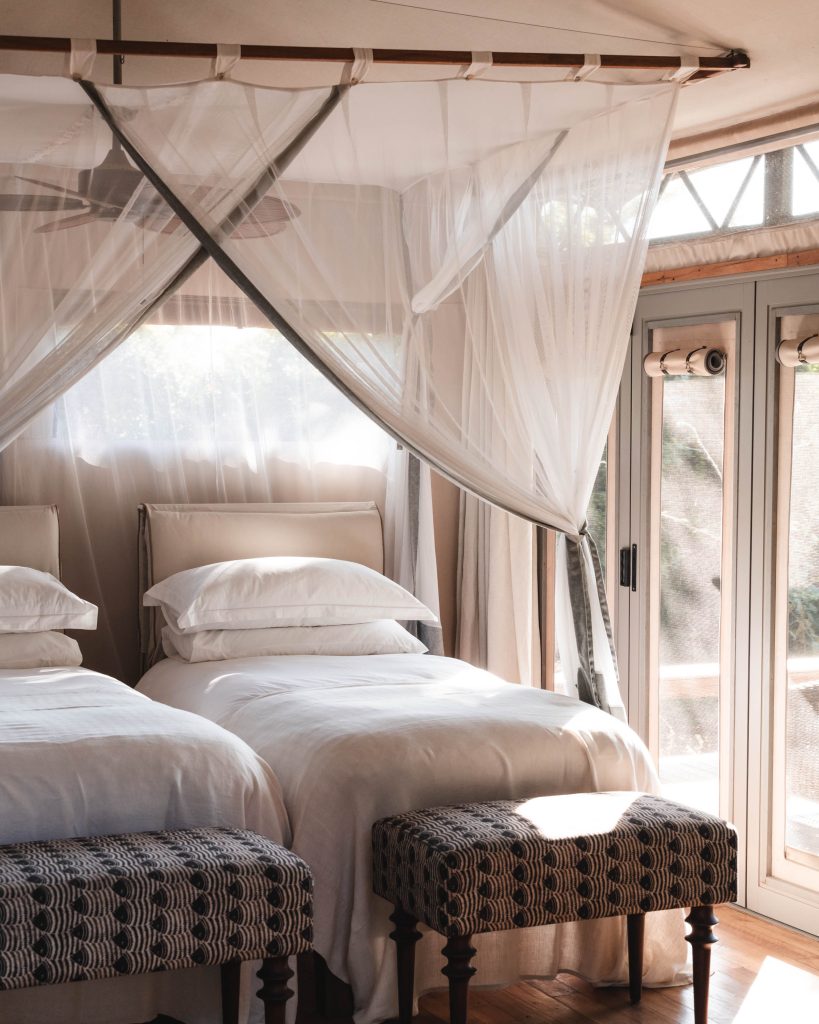 WildernessxOlliePB-03358